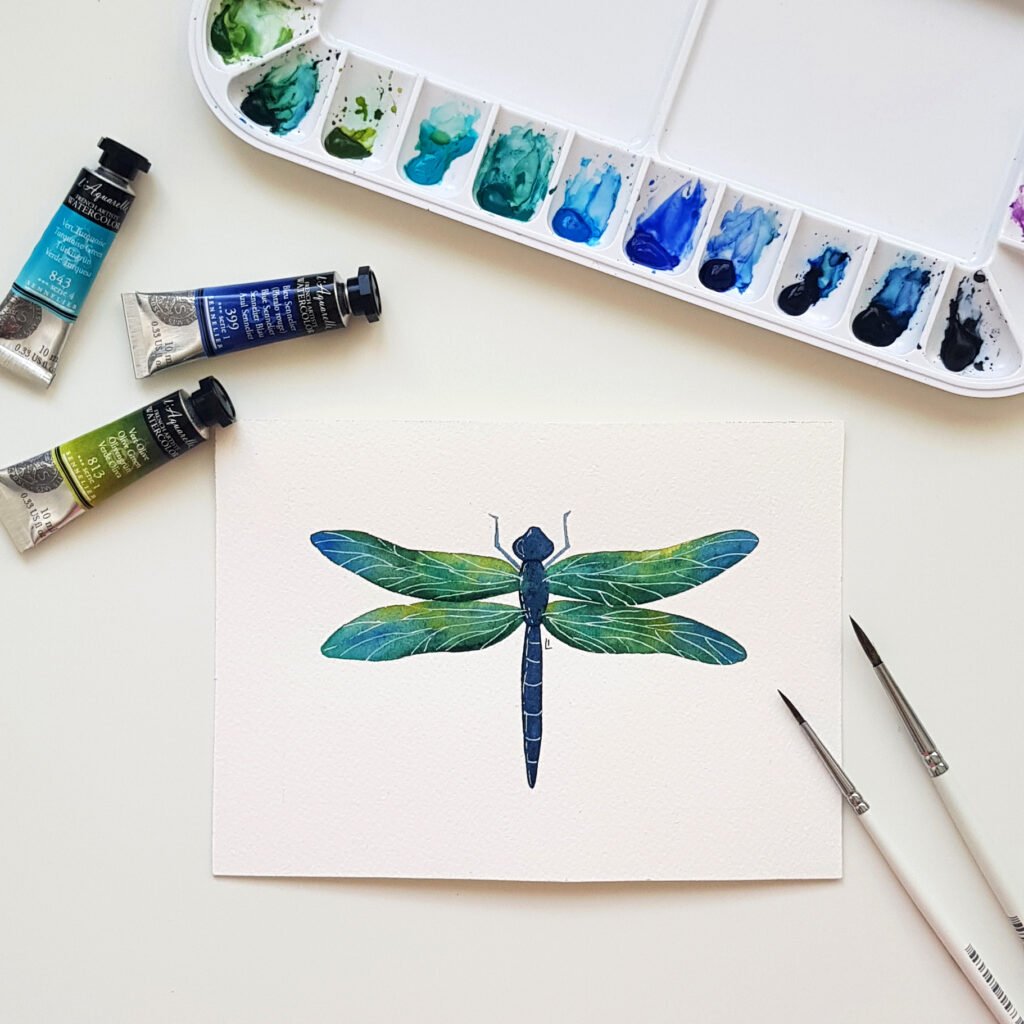 Watercolor dragonfly illustration