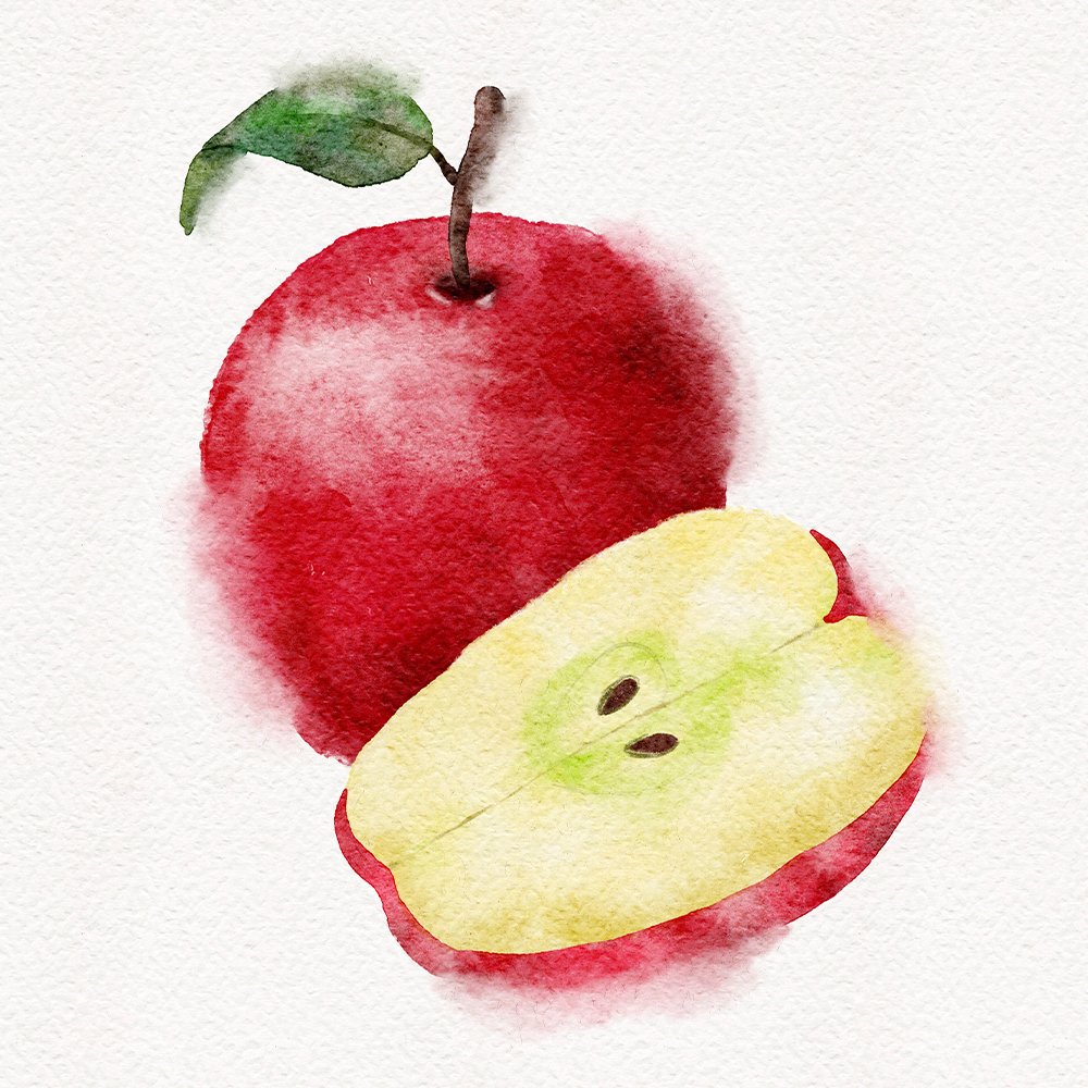 Watercolor apples illustration