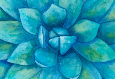 Blue watercolor succulent illustration