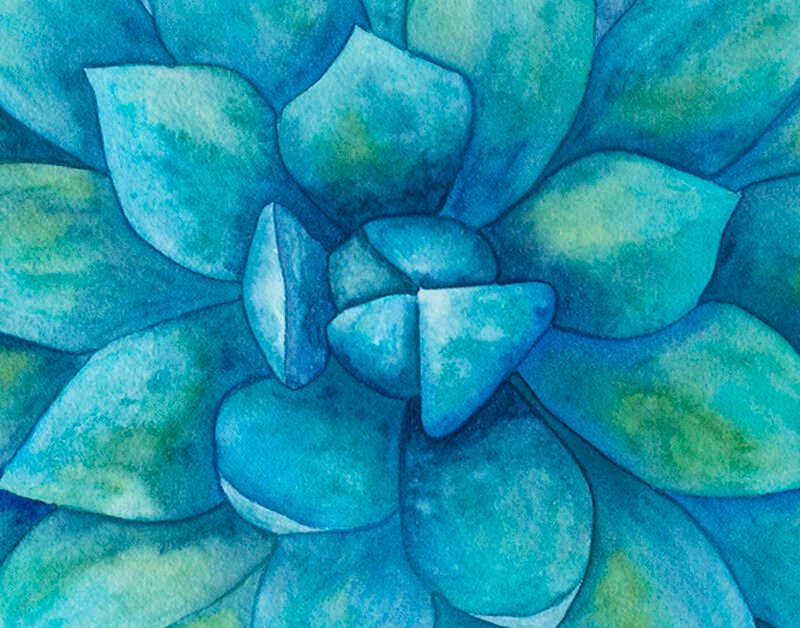 Blue watercolor succulent illustration