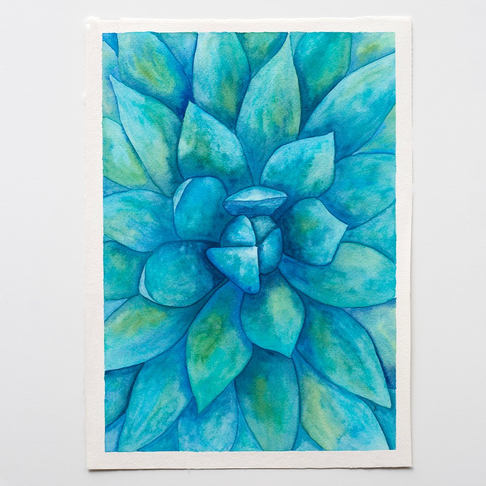 Watercolor blue succulent plant illustration 