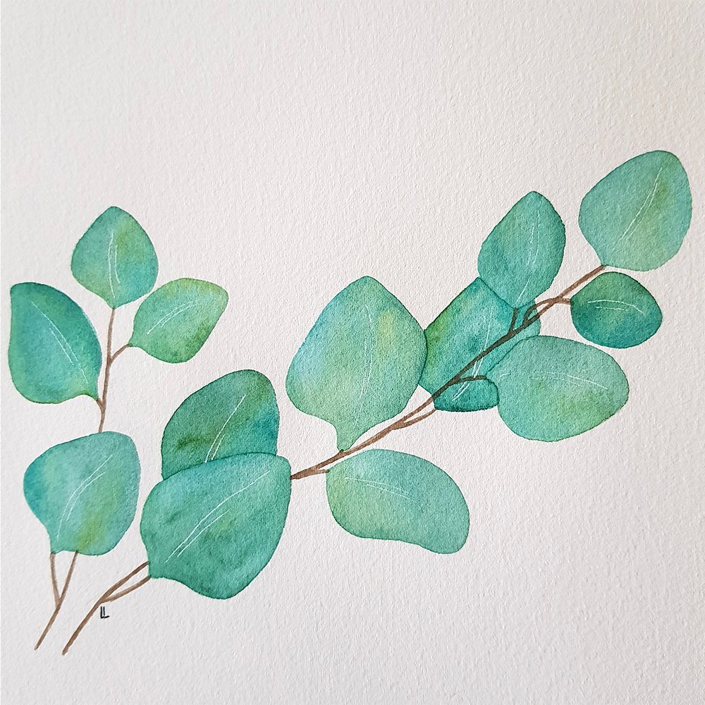 Watercolor Eucalyptus branches illustration