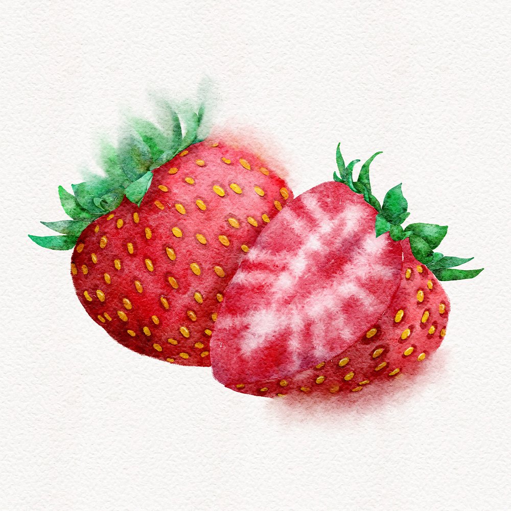 Watercolor strawberries illustration